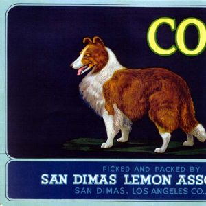 Citrus crate label of the San Dimas Lemon Association