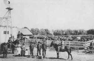 Dairying operations south of Dominguez Hill on the Carson estate