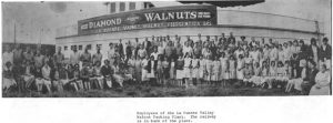 Employees of the La Puente Valley Walnut Packing Plant
