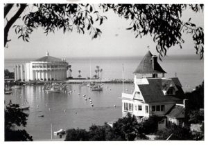 Casino, Avalon Bay, and the Holly Hill House, 1980