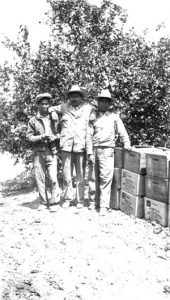 Three citrus pickers in front of North Whittier Heights Citrus Association crates