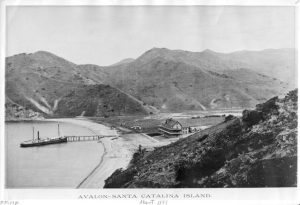 Steamer at the dock in Avalon Bay and the Hotel Metropole in Avalon,