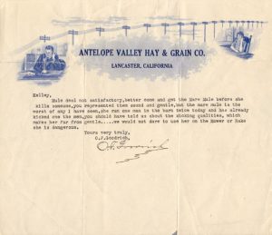 Letter from O. F. Goodrich of the Antelope Valley Hay and Grain Company to a Mr. Kelly regarding a poorly behaved mule., c. 1920s