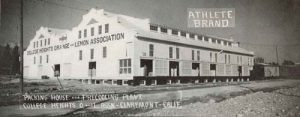 College Heights Orange and Lemon Association packing house, c. 1920