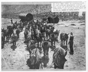 52-Mule team used in the construction of the Los Angeles-Owens Valley Aqueduct across the west side of the Antelope Valley, 1908
