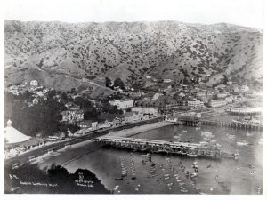 Town of Avalon and Avalon Bay, 1911