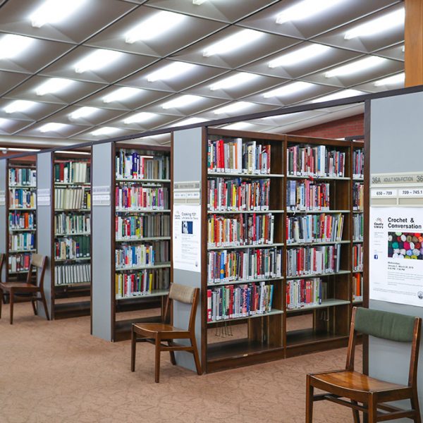 Angelo M Lacoboni Library bookcase full of books