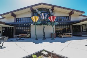 Topanga Library Background