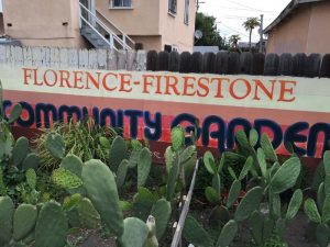 The Florence-Firestone Community Garden