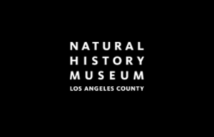 Natural History Museum logo