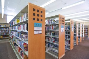 Acton Agua Dulce bookcases