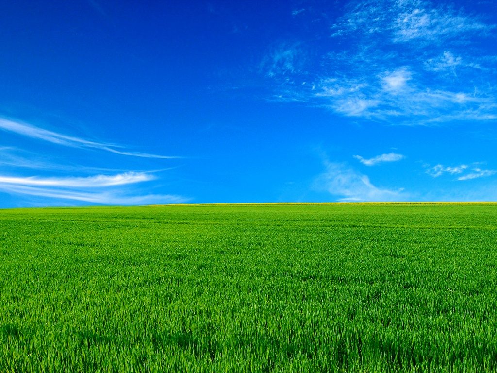Wide open grassy field and a blue sky