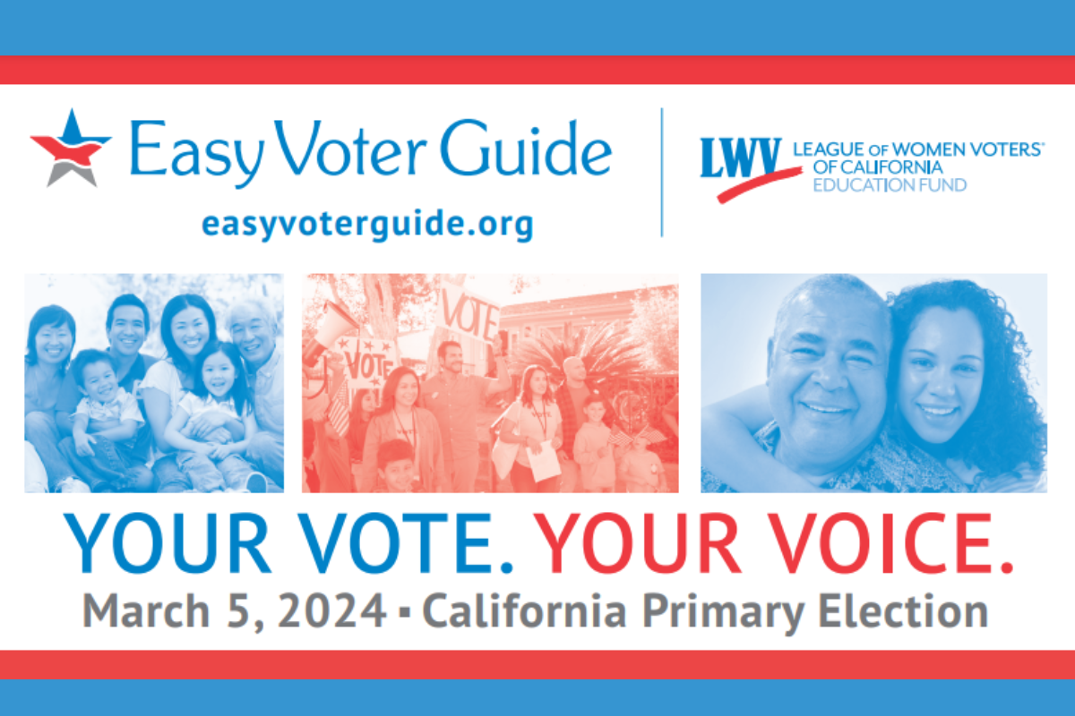 LA County Easy Voter guide