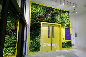 Living wall made of plants at Paramount Library