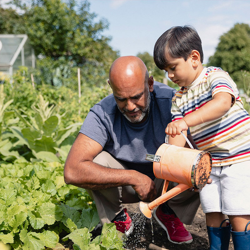 adult and child watering vegetables