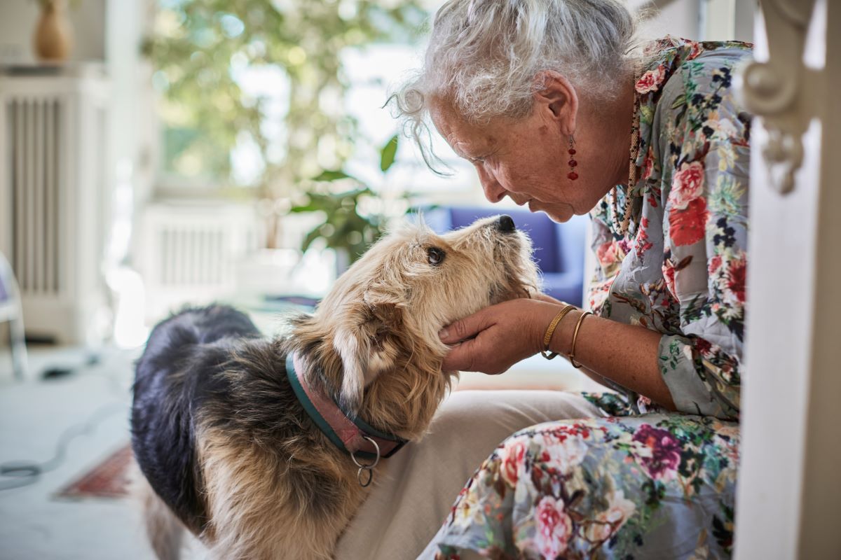 Senior women saying hello to a dog