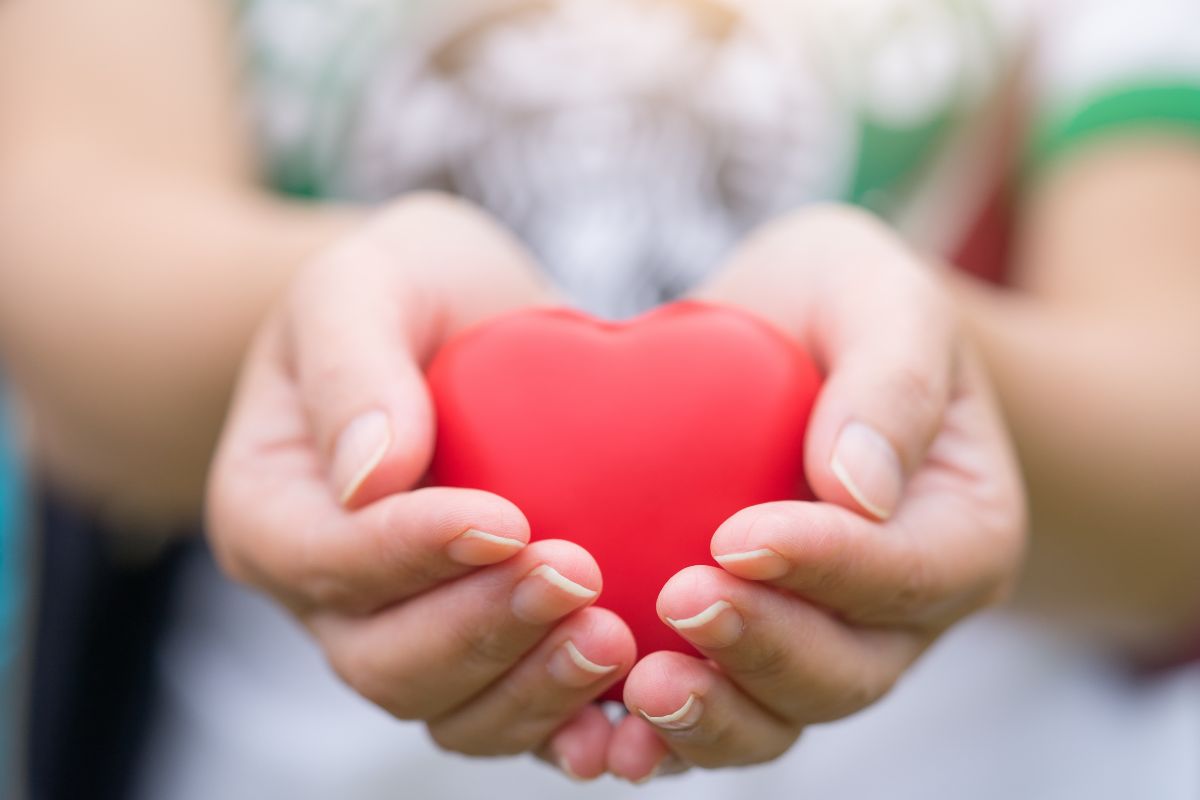 hands holding a heart